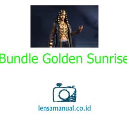 Bundle Golden Sunrise