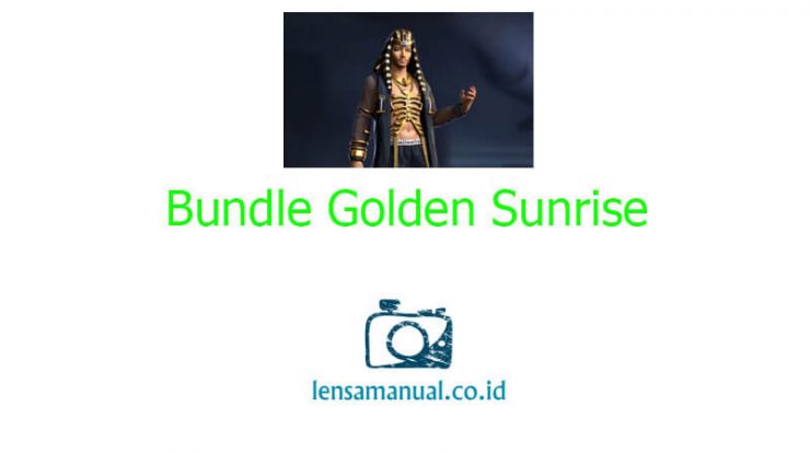 Bundle Golden Sunrise