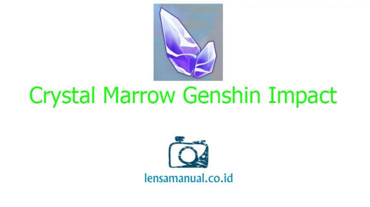 Lokasi Farming Crystal Marrow Genshin Impact