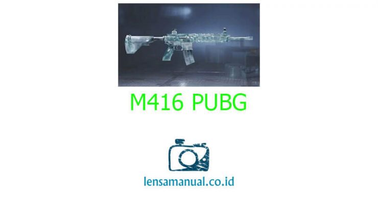 M416 PUBG