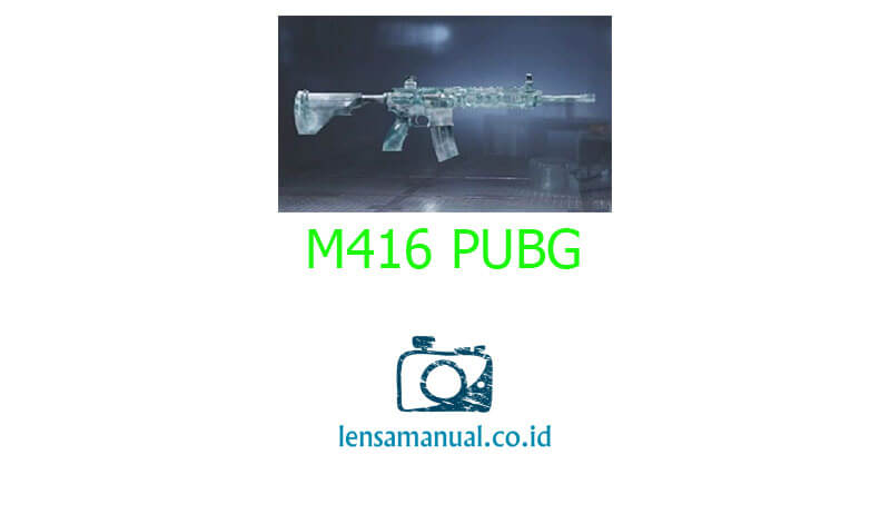 M416 PUBG
