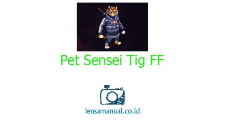 Pet Sensei Tig FF