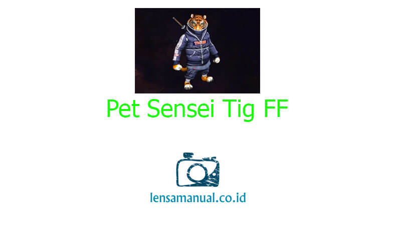Pet Sensei Tig FF