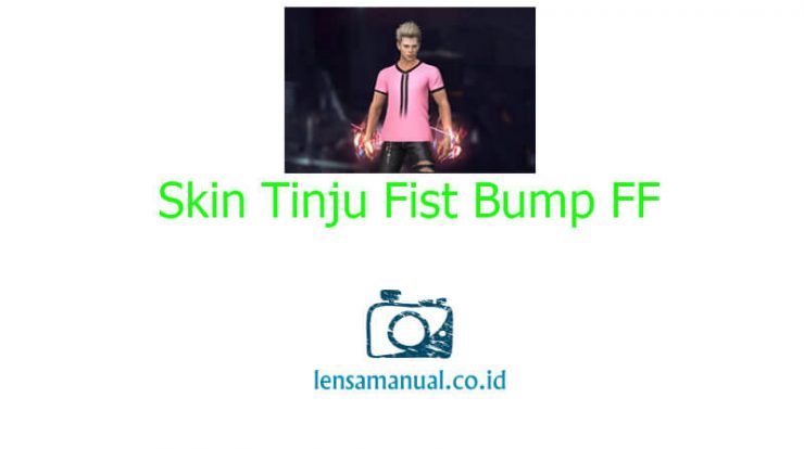 Skin Tinju Fist Bump FF